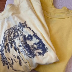 黄色い半袖達の画像