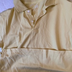 黄色い半袖達の画像