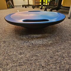 バランスディスク 体幹トレーニング コアトレ 安定性向上 美姿勢 フィットネスの画像