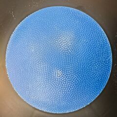 バランスディスク 体幹トレーニング コアトレ 安定性向上 美姿勢 フィットネスの画像