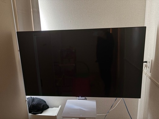 有機ELテレビ　LG OLED 48インチ テレビ OLED48C2PJA
