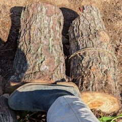 薪　マキ　剪定枝　幹　丸太　の画像