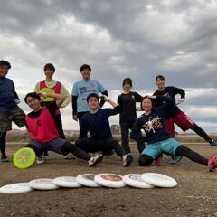 アルティメットチーム