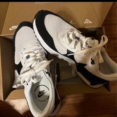 NIKE Air Max  25cm  新品箱タグ付きの画像