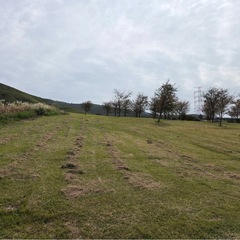 ウォーキング🚶&ランニング🏃‍♀️仲間募集❣️