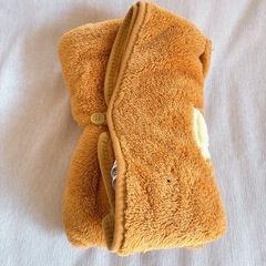 ポケモン　イーブイ　ブランケットの画像