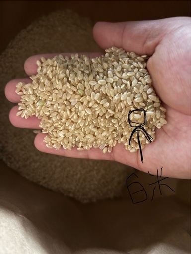 【値下げ❗️在庫僅か❗️】精米無料対応　7年産　国内産原料複数米　玄米30kg