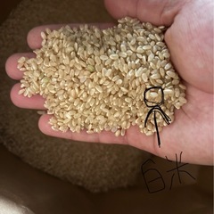 【在庫入荷❗️】7年産　国内産原料複数米の画像