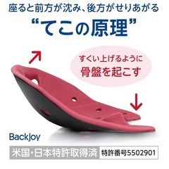 BackJoy(バックジョイ) 　姿勢サポートの画像