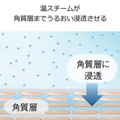 Panasonic　スチーマーの画像