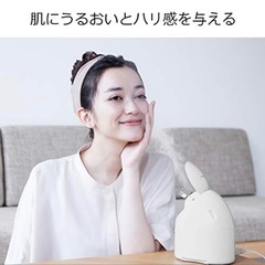 Panasonic　スチーマーの画像