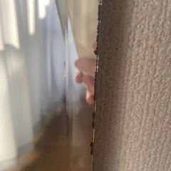全身鏡　120×30センチ　厚み3ミリの画像