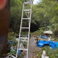 三脚脚立🪜の画像