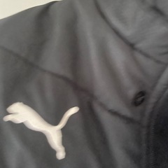 ダウンプーマLサイズの画像