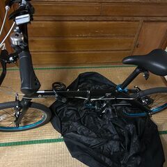 RENAULT 「ルノー」 LIGHT 10　2025年購入の画像