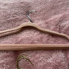 ハンガー　　まとめ売り11本　の画像