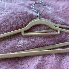ハンガー　　まとめ売り11本　の画像
