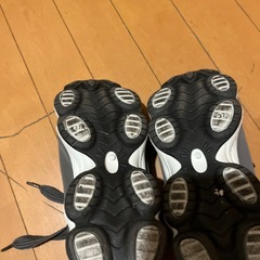 レディースシューズの画像