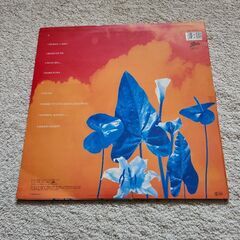 ミッシェル・ポルナレフLPレコードの画像