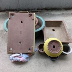 盆栽鉢　他（総額約2万円近く）　11点の画像