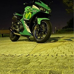YZF-R25の画像