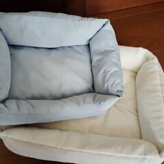 猫ちゃん飼育セット　トイレ・ベッド・パネルヒーターの画像