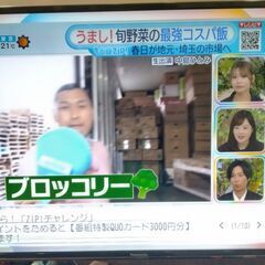 【画面割れ】ジャンク：Panasonic 液晶テレビ VIERA　TH-43EX750の画像