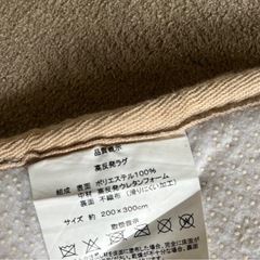 ラグマット200センチ✖️300センチ　モコモコ　カーペット⭐️⭐️⭐️ファーストメールで、ご希望の日時（日にちと、時間）を 3つお知らせください。 　の画像