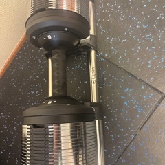 ライシン可変式ダンベル40kg2こ個セットの画像