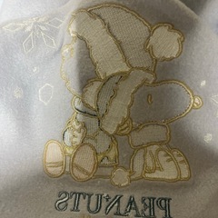 ユニバーサルスタジオストア限定スヌーピーパーカーMサイズの画像