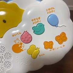 プーメリーの画像