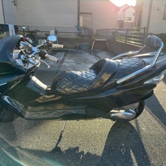 フォルツァZ 250の画像