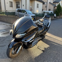 フォルツァZ 250の画像