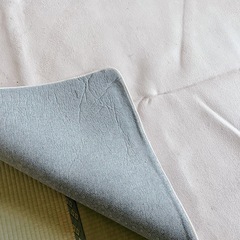  ラグマット 低反発 カーペット 滑り止め ラグ マット じゅうたん 絨毯 厚 遮音 防音効果 ホットカーペット対応 無地 リビング ウレタンラグ センターラグ 春 夏 秋 冬 長方形 送料無料 おしゃれ 200×300cm 厚手 ふわふわ グリーン ピンクの画像