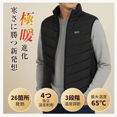 【受け渡し予定者決まりました】電熱ベスト Lサイズ 26箇所発熱 ヒーターベスト DC/USB給電 3段階温度調整の画像