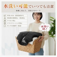 【受け渡し予定者決まりました】電熱ベスト Lサイズ 26箇所発熱 ヒーターベスト DC/USB給電 3段階温度調整の画像