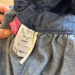 アリエル 100の画像