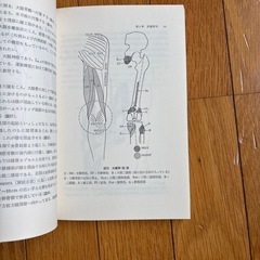 膝の痛みと機能障害の画像