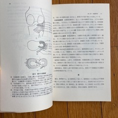 膝の痛みと機能障害の画像