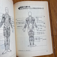 スポーツトレーニングが変わる本の画像