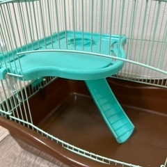 ジャンガリアンハムスターのお家の画像