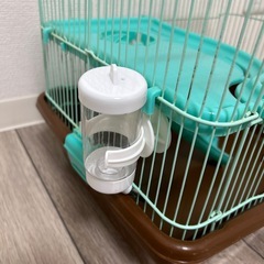 ジャンガリアンハムスターのお家の画像