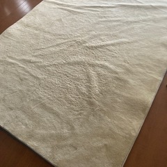 東芝　ホットカーペット　3畳サイズの画像