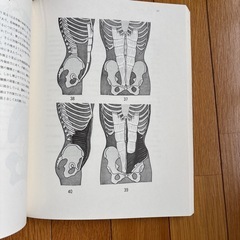 カパンデイ 関節の生理学の画像