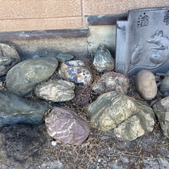 11/24お取引き　石　石ころの画像