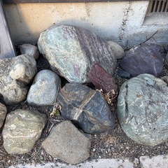 11/24お取引き　石　石ころの画像