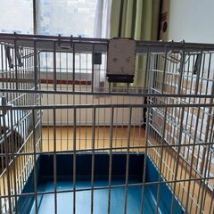 ペットゲージの画像