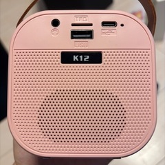 カラオケ　マイク2本の画像