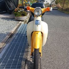 リトルカブ.好調.始動動画の画像