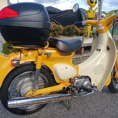 リトルカブ.好調.始動動画の画像